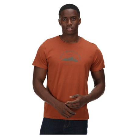 T-shirt homme Regatta Cline VI orange Gingerbread