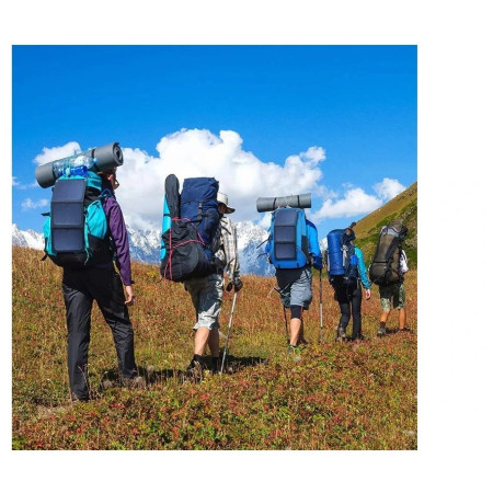 Panneau solaire Viking Technology SP30W