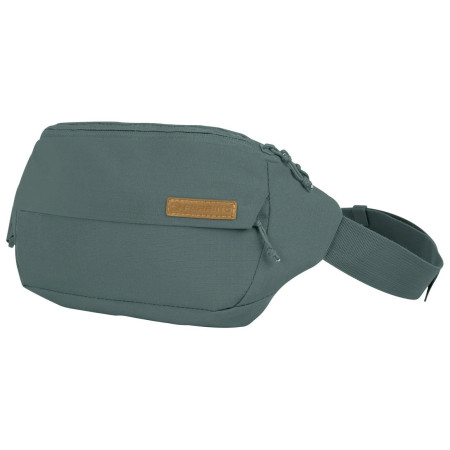 Sac banane Ferrino Sync vert Green