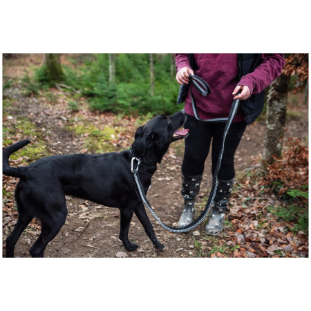 Laisse avec amortisseur Mountain Paws Shock Absorber Dog Lead