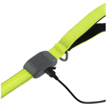 Laisse pour chien Nite Ize LED NiteDog