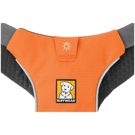 Harnais pour chien Ruffwear Omnijore Joring System