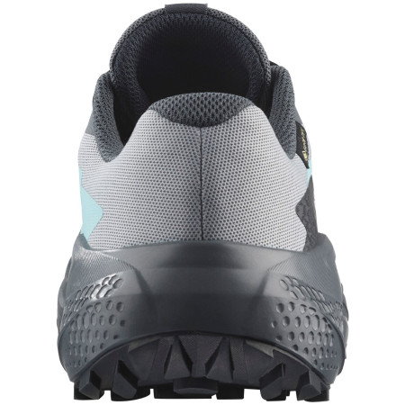 Chaussures femme Salomon Alphaglide Gore-Tex