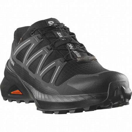 Chaussures homme Salomon Speedcross Peak Gore-Tex noir Black / Black / Asphalt