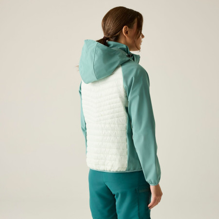 Veste femme Regatta Womens Pro Hybrid II