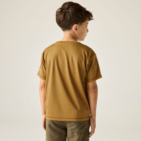 T-shirt enfant Regatta Alvarado Wood Brown