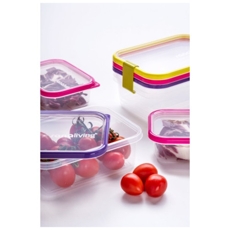 Boîte aliments Omada Sanaliving Box Set 3x 19x14x13,5cm/2,1L