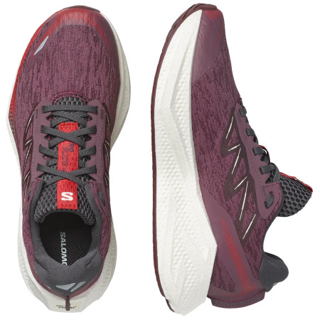 Chaussures running femme Salomon Aero Glide 4
