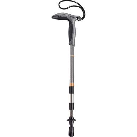Bâton Leki Super Micro 2022 argenté GunmetalCopperDarkanthracite