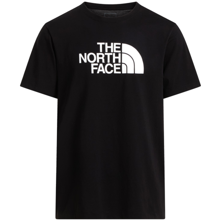T-shirt homme The North Face Evolution Half Dome Regular Short Slee