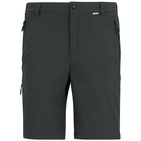Pantalon homme Regatta Anti-Insect Travel Light Z/O Trousers