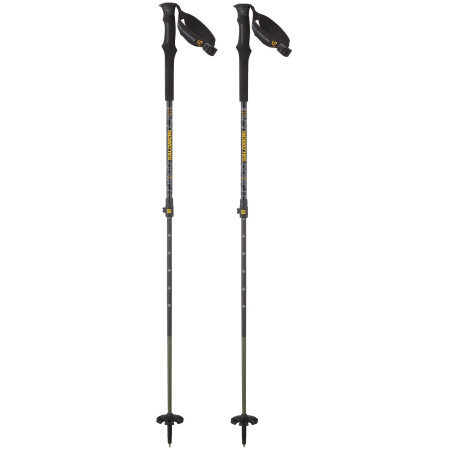 Bâtons de ski alpin Salomon Mtn Carbon S3 Ltd vert Black / Solar Power