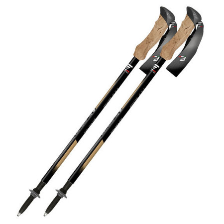Bâtons randonnée Fizan Compact Tech