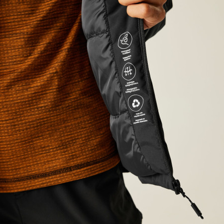 Veste homme Regatta Frelton