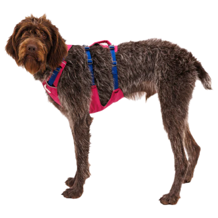 Harnais pour chien Ruffwear Flagline™ Harness