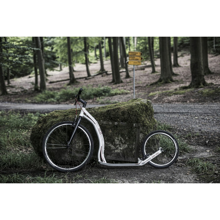 Trottinette Yedoo Trexx