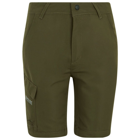 Pantalon enfant Regatta Sorcer Z/O Trousers III Treetop