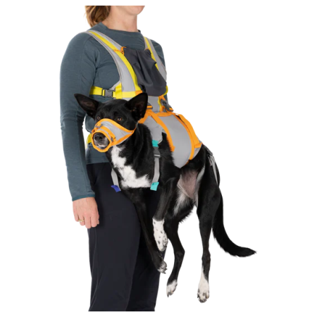 Harnais pour chien Ruffwear BackTrak™ Dog Evacuation Kit