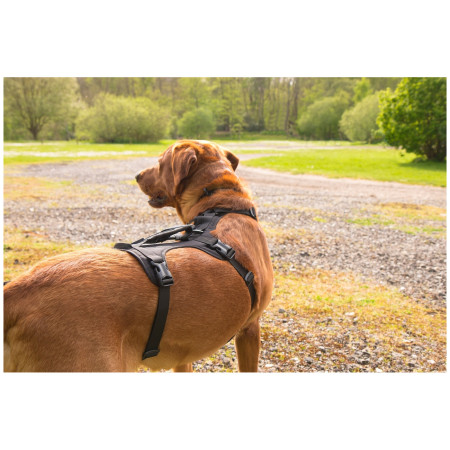 Harnais pour chien Mountain Paws 3-Strap Dog Harness