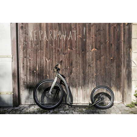 Trottinette Yedoo Trexx Disc