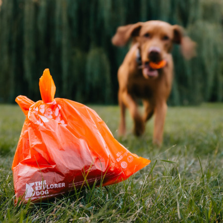 Sacs à déjections canines Explorer Dog Eko Exbags 60 ks