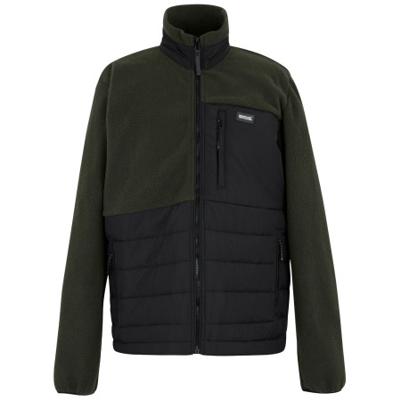 Veste homme Regatta Frankie Borg Hybrid vert / noir Black(DkKha)