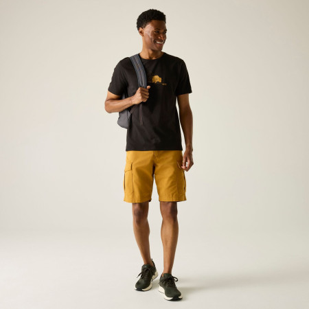 T-shirt homme Regatta Cline IX