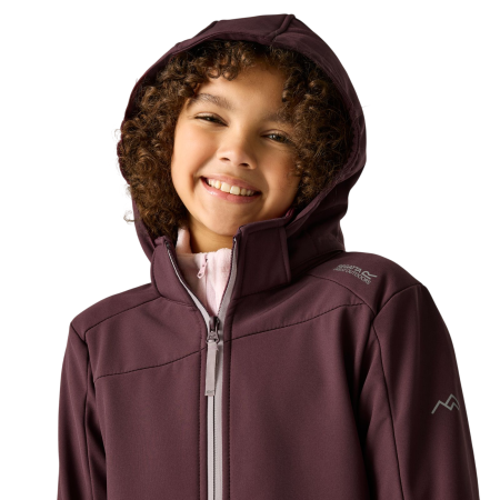 Veste softshell enfant Regatta Haydenbury Fig