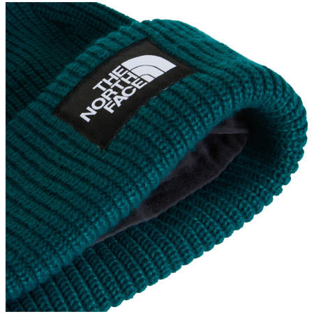 Bonnet The North Face Salty Lined Beanie