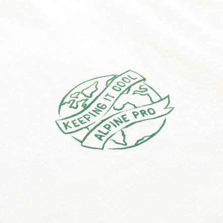 T-shirt homme Alpine Pro Termes 2