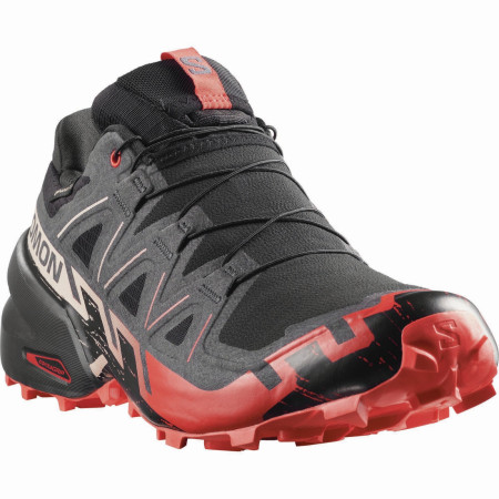 Chaussures de running hommes Salomon Speedcross 6 Gore-Tex