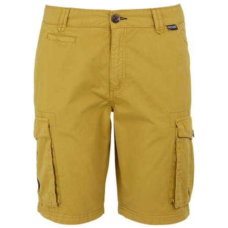 Shorts homme Regatta Shorebay Shorts II vert clair Mustard