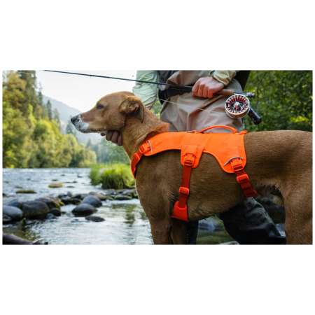 Harnais pour chien Ruffwear Web Master™ Harness