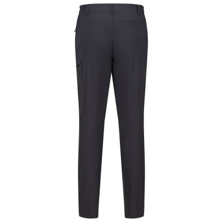 Pantalon homme Regatta Highton Trs Long