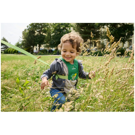 Laisse enfant LittleLife Toddler Reins Turtle