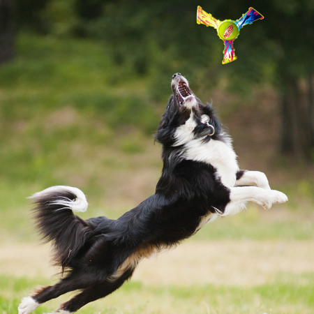 Jouet pour chien Nerf Dog Color Grip Tri Flyer 20 cm