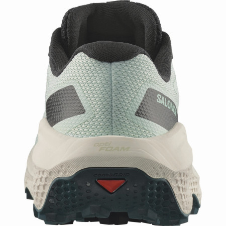 Chaussures femme Salomon Ultra Flow 2 W