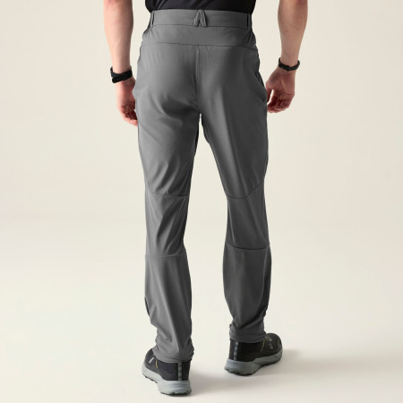Pantalon homme Dare 2b Torrek Lite Trouser