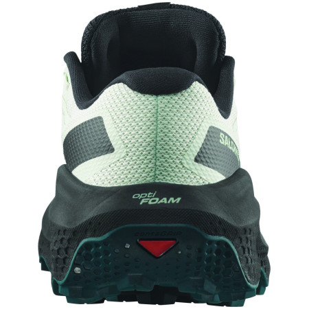 Chaussures running femme Salomon Ultra Flow 2 Gore-Tex