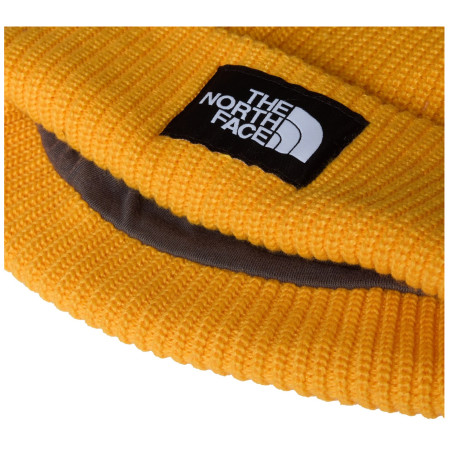Bonnet The North Face Salty Lined Beanie
