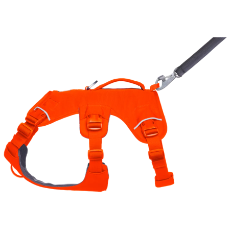 Harnais pour chien Ruffwear Web Master™ Harness
