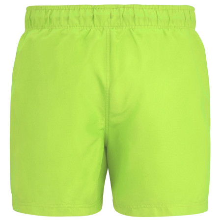 Maillot de bain homme Regatta Mawson Swim Shorts III