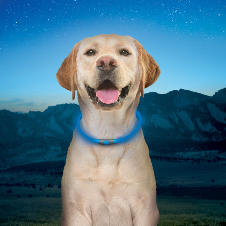 Collier lumineux pour chien Nite Ize NiteHowl® Rechargeable LED Safety Necklace