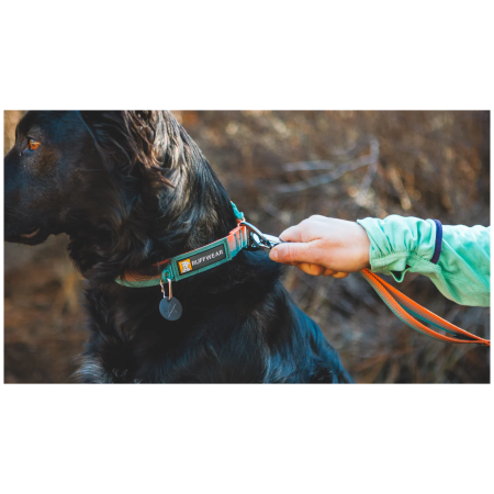 Collier pour chien Ruffwear Front Range™ Collar