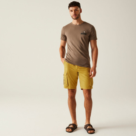 Short homme Regatta Shorebay Shorts II