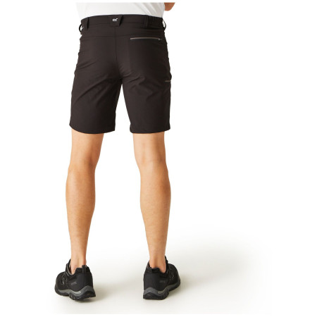 Shorts homme Regatta Xert Stretch Shorts III