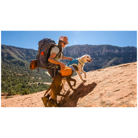 Sac à dos pour chien Ruffwear Approach™ Pack