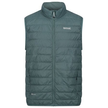 Gilet homme Regatta Hillpack B/W green Sea Pine