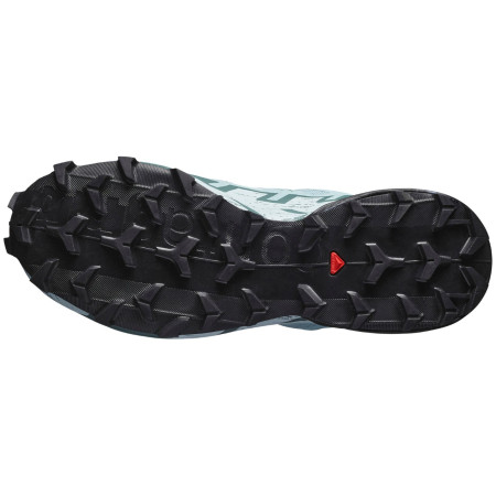 Chaussures femme Salomon Speedcross 6 Gore-Tex