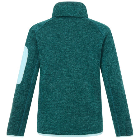 Sweatshirt enfant Regatta Junior Newhill DrkForGlacGr